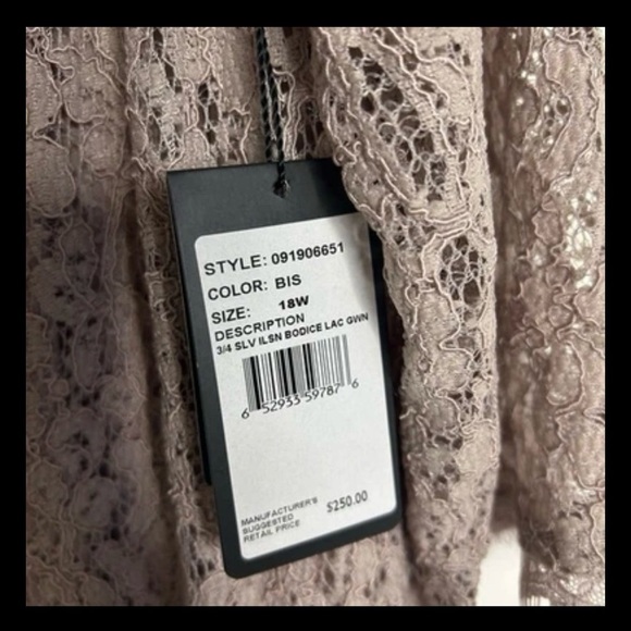 NWT Adrianna Papell Womens Taupe Long lace gown S Evening Dress size 18W - Picture 9 of 10